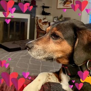 Meet your Posher, Linda